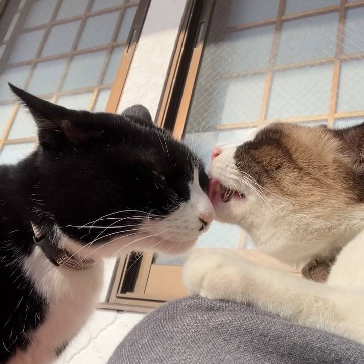 691ec49f 0874 4301 817d c56d6da169d8 1736371221652