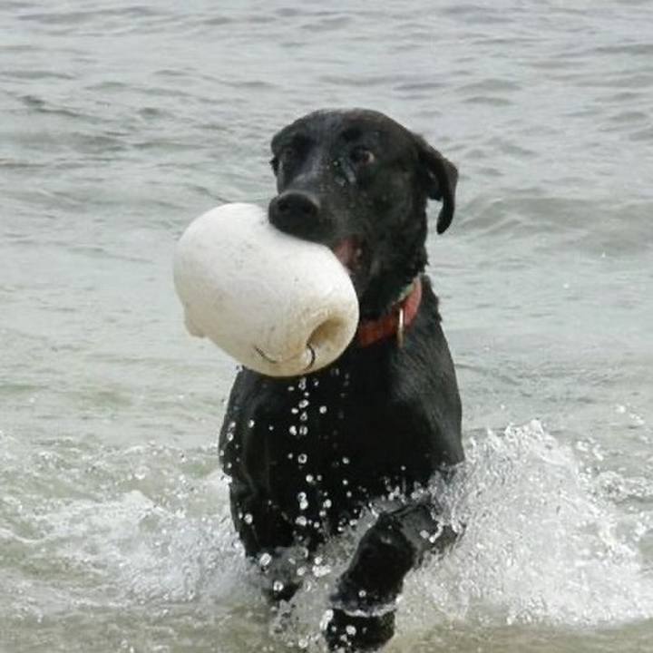 691ee15d bc8b 4157 8cd9 0baf8178e4bf 1661951658964