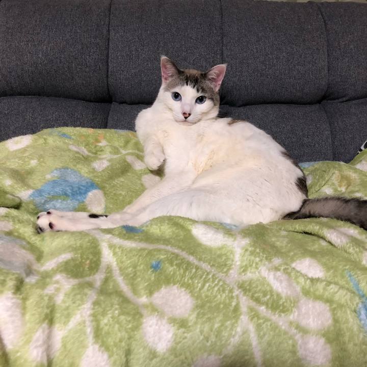 691eebc8 63b1 421a 8e0e 997754b31076 1644241541483