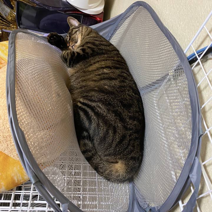 691f10a0 71dd 4581 8c68 7bb9fd3e4843 1597560728007