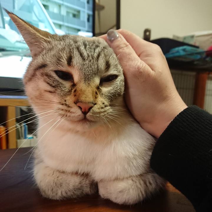 691f10c7 5464 4933 bc17 2094784f1baf 1590061554542