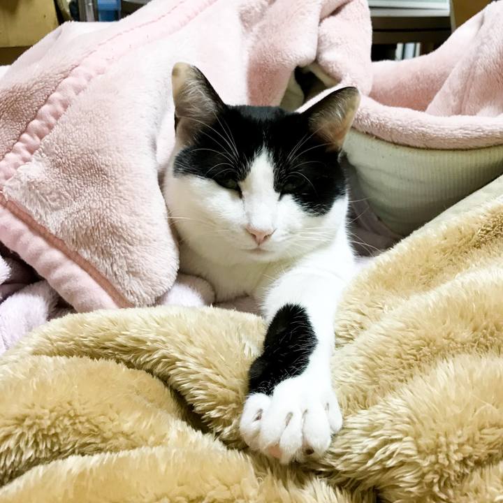 691f456a 66d2 4e7c ae84 e30dc7c17303 1517324148831