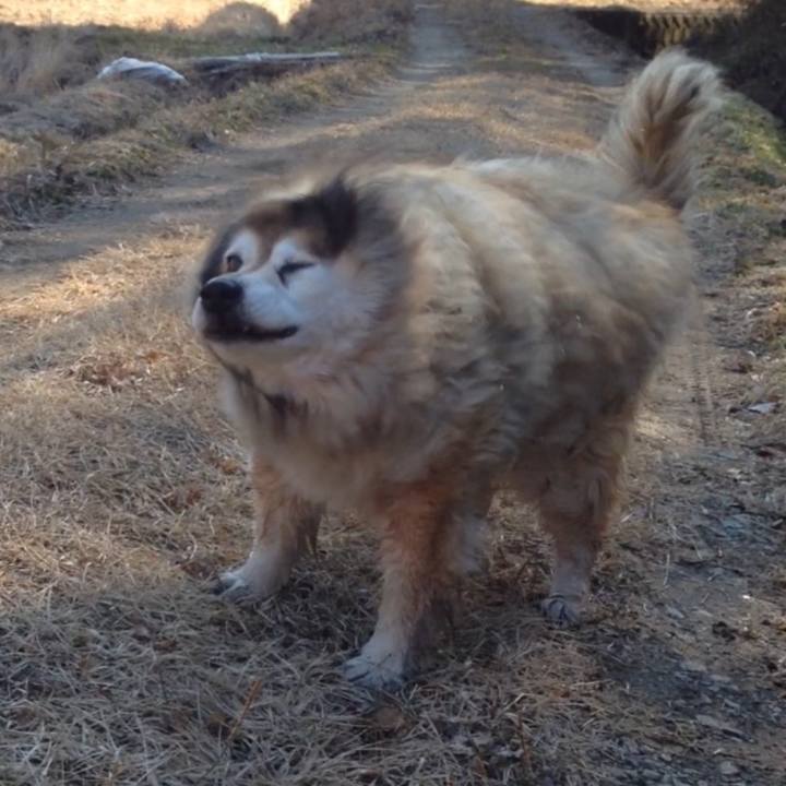 691f46eb 03cc 479a b908 8894e473eb98 1609714672341