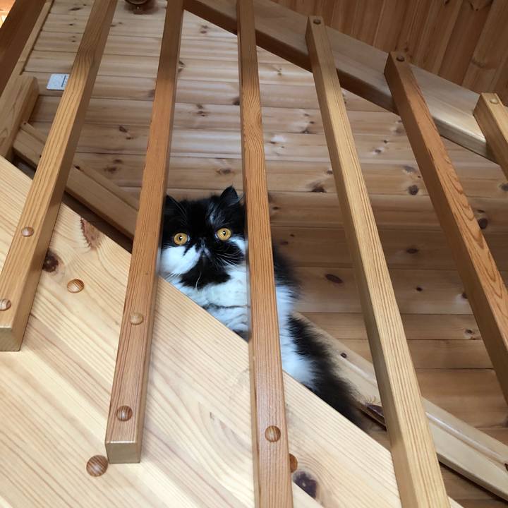 691f5dec dd65 435a 9662 3e377746d805 1588130210265