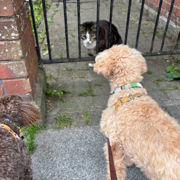 691f7465 a082 4d50 8183 7b26f65f0415 1755951419304