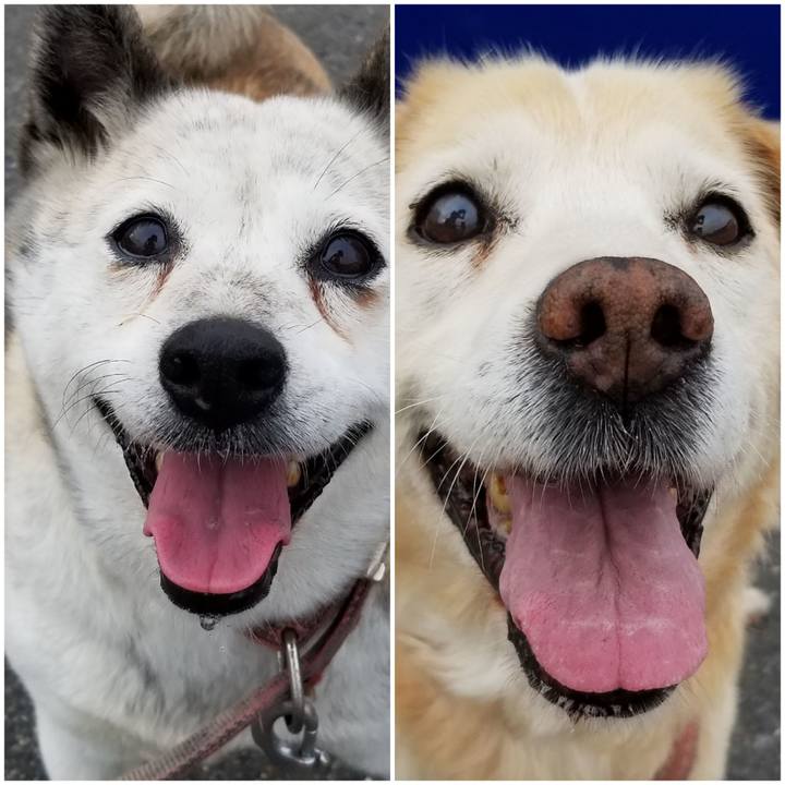 691f80b3 5726 4763 ada1 df1e8aeb25fb 1749589152288