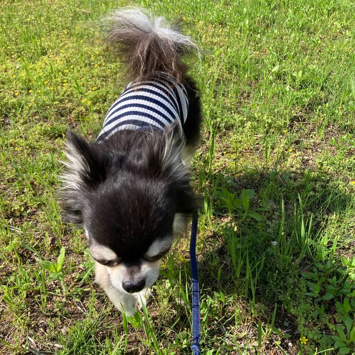 691feeab 0293 4605 b0c3 51eff9eca87f 1714321302925