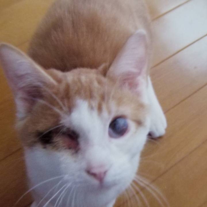 691ff086 c7c3 4822 99af 8f2148453f4a 1540560528259