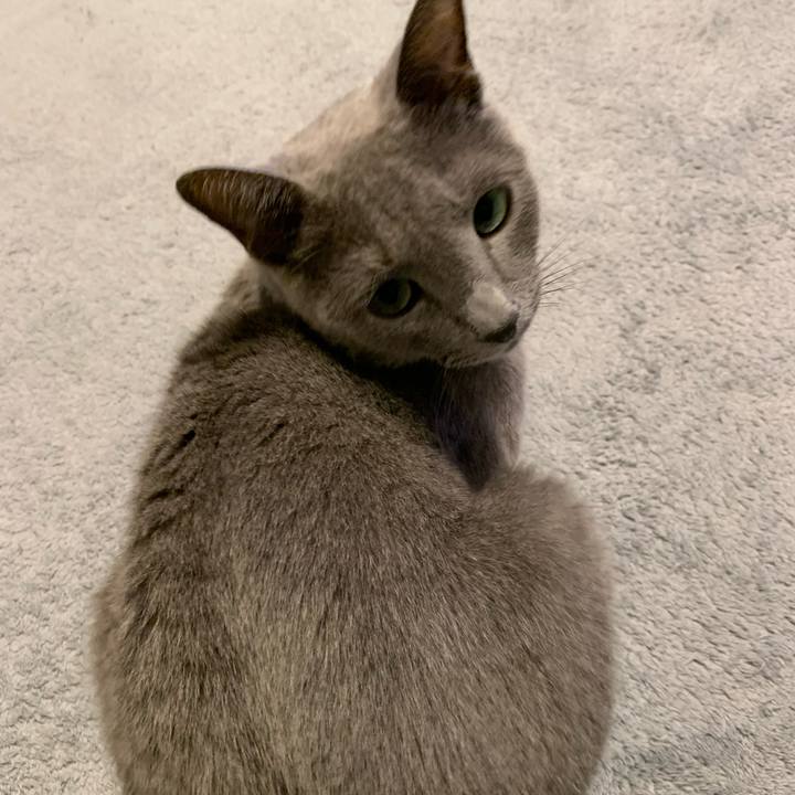 69201108 2803 4739 aa23 ce169c1b717d 1665220839443