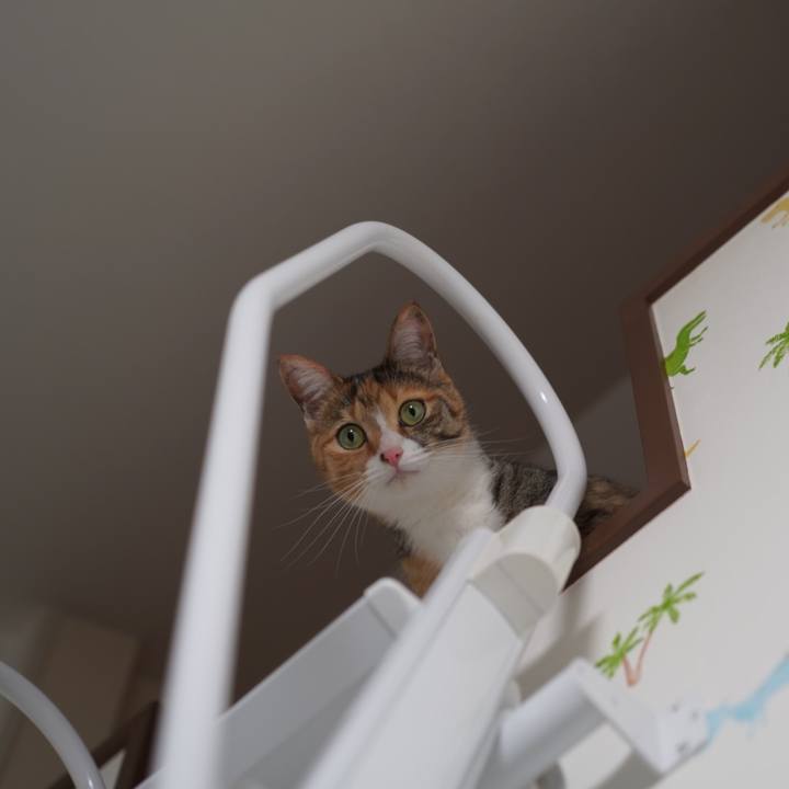 692033e9 ce06 4019 9800 e0939870061f 1654853111263