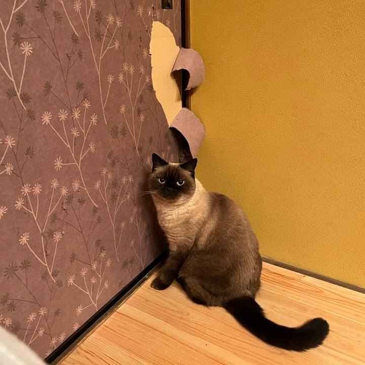 69208a21 32b8 491a b0fd 97301b09e409 1698362856557