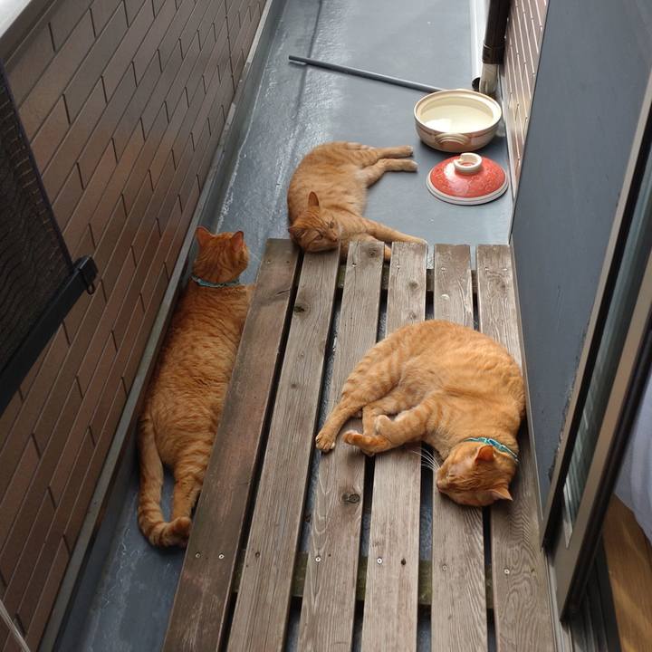 6920d46d 2767 4808 99e7 078104c40807 1728039557174