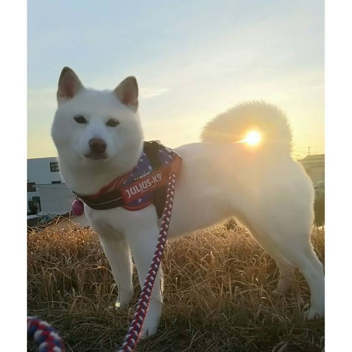 692100f6 eafe 488f a74e be0b9608baea 1583658151949