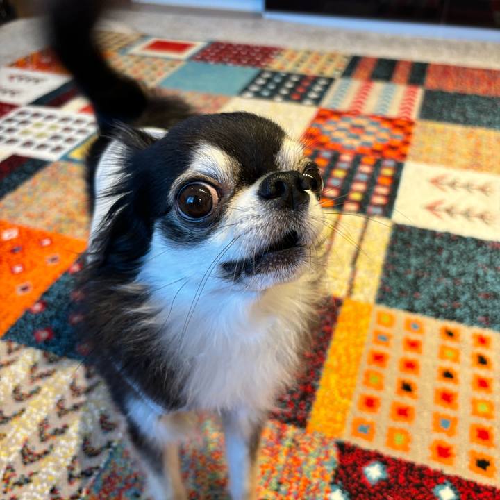 692114cf e303 4663 a15a fc859b1f777b 1722095310644