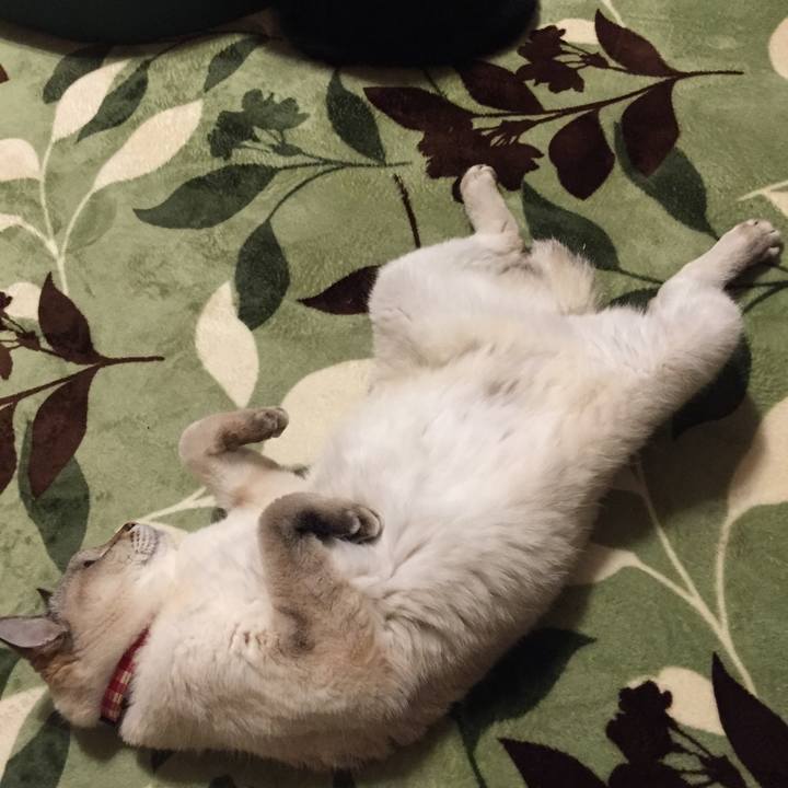 69215d20 6185 4a2b 9140 35405300633c 1582586373322