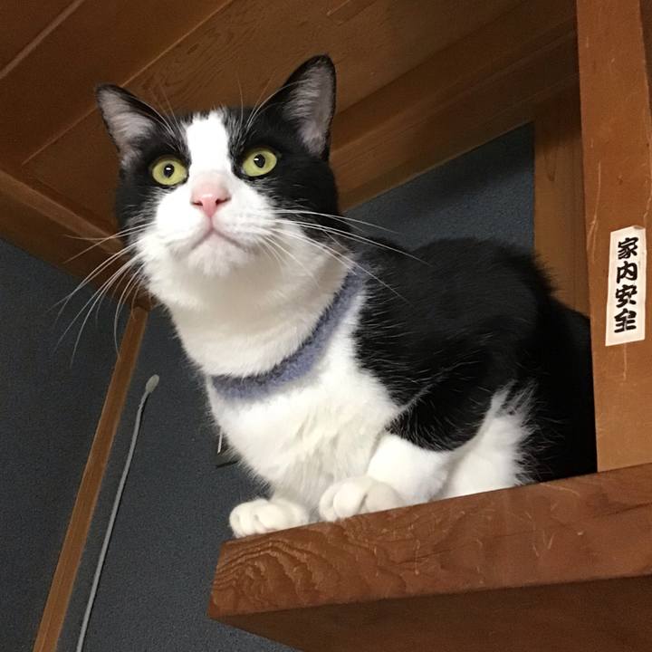 69216516 e8fd 4d20 8d6a 430cd39c8629 1670762289057