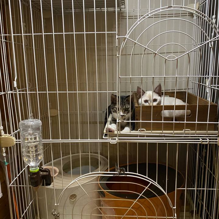 6921a6df 9a8c 417d 8c92 ac476becbaea 1632391447103