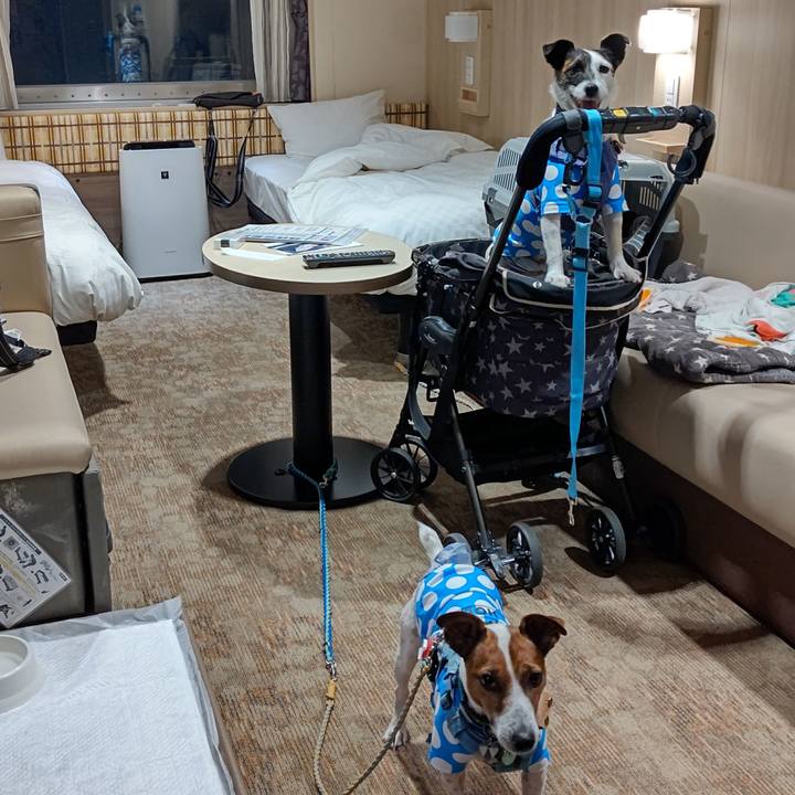 6921f107 12d1 4970 ae9d 519c04007fc9 1691664031779