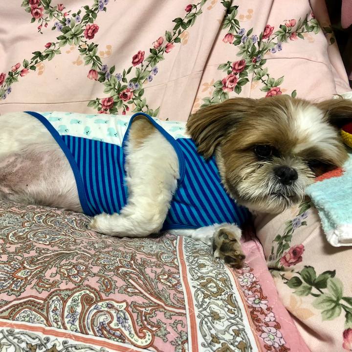 6921fe9e 9191 492a 8c6d 0510382666a1 1537961181245