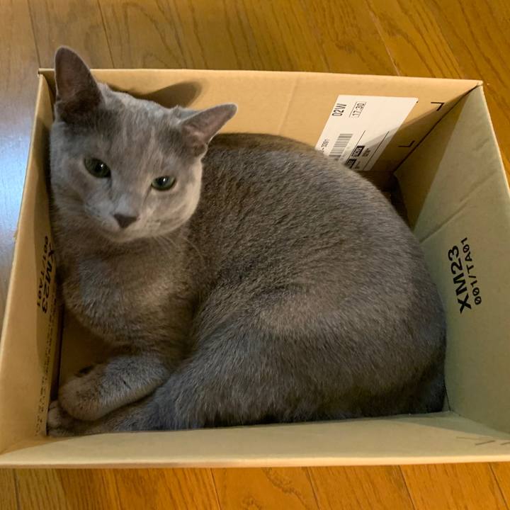 692217a9 d601 4cc8 aa7a 09f7dd9c14cd 1589106657514