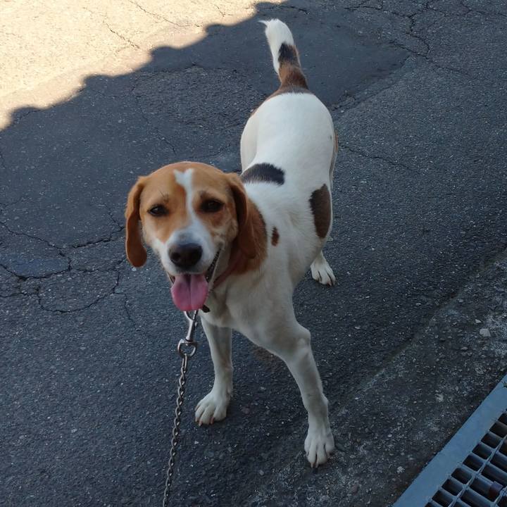 69221db4 2feb 4ecc a567 4c324408bf19 1591059238940