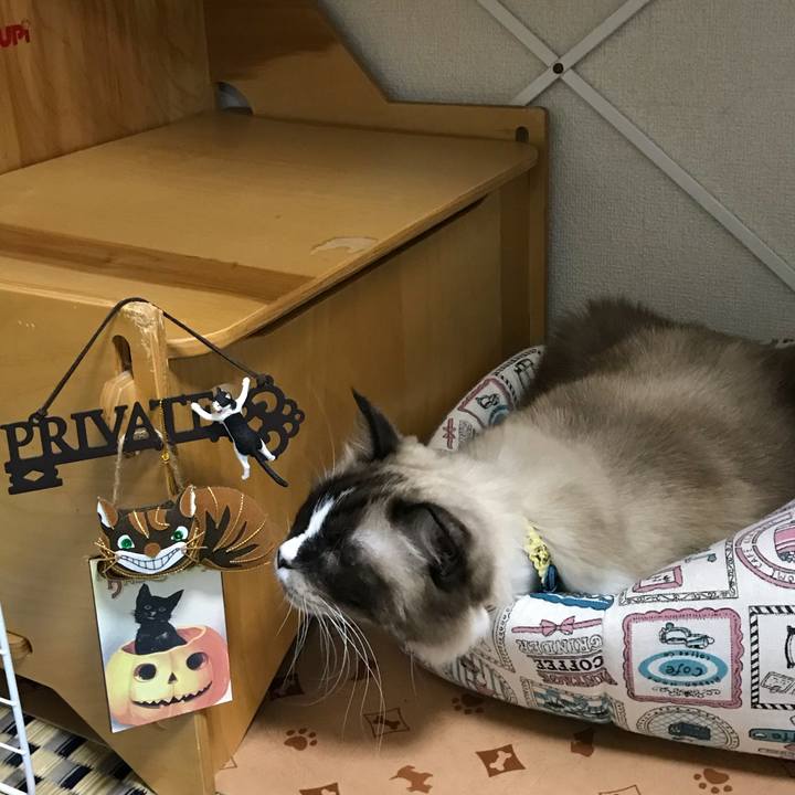 69225c0d 6983 427a 8b31 bba1f94a3c1c 1509446681145