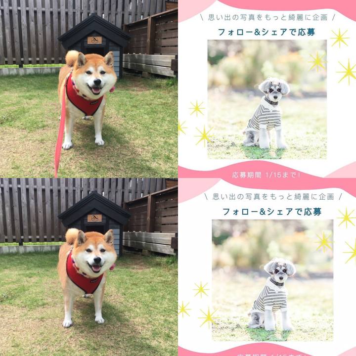 6922772c 423b 4712 9836 50d322555025 1642967083355