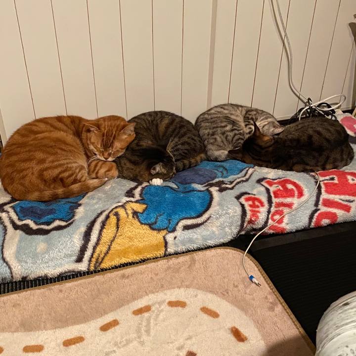 692298ab 2d55 48c4 9241 bd771659f75d 1578534086674