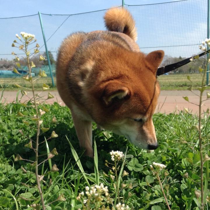 692302cd c7b9 47c0 bfb0 cffbe7df7155 1522044889131