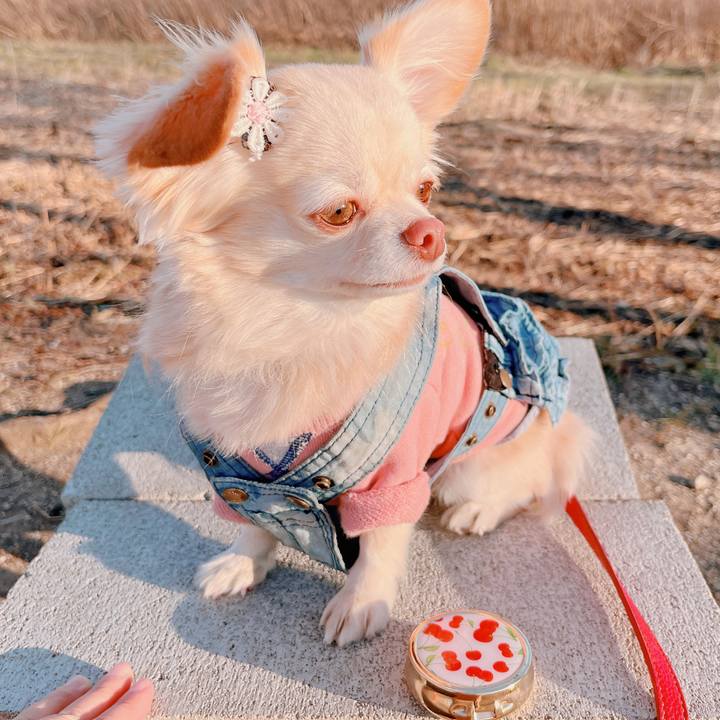 692352a3 3e97 4d18 87a5 5f5f665dca37 1673430148896