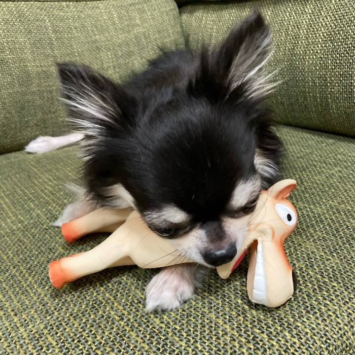 69237635 7c73 4d07 8bfd e44687af2dc0 1664112872460