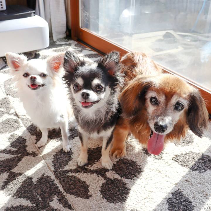 6923883f 98e9 433f 975d 67dcd4029cda 1702091045465