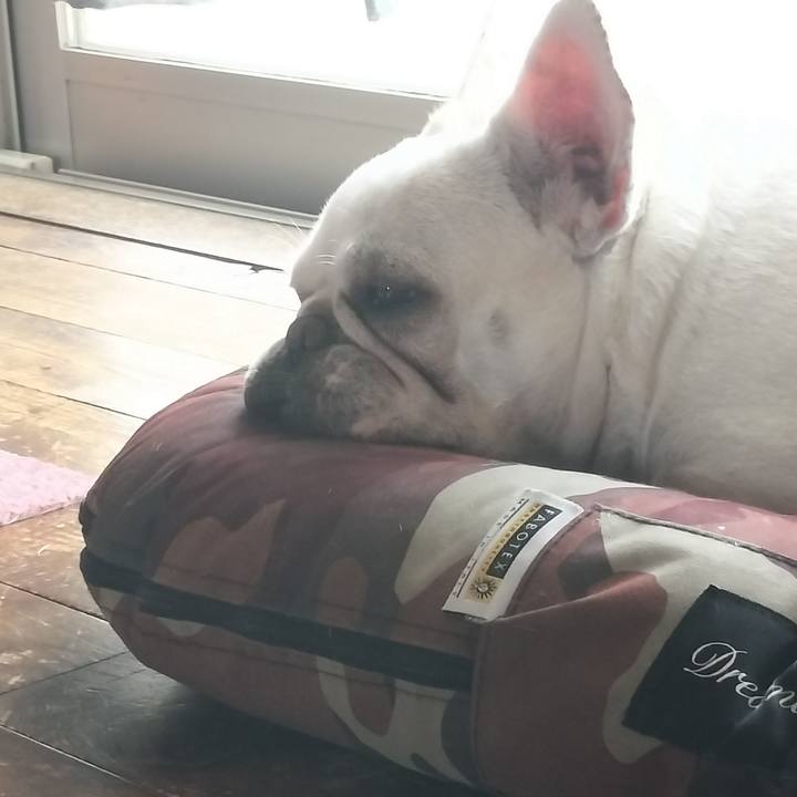 69238d3f 323c 48a3 85e8 0c3500ce14f9 1688465203202