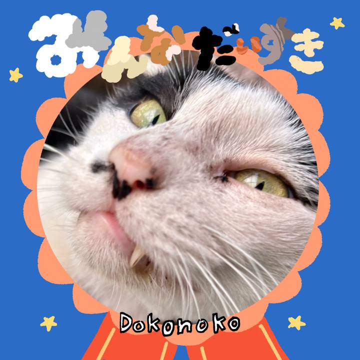 69239831 b24f 4d1b 9816 2da8b64edb54 1780633834219