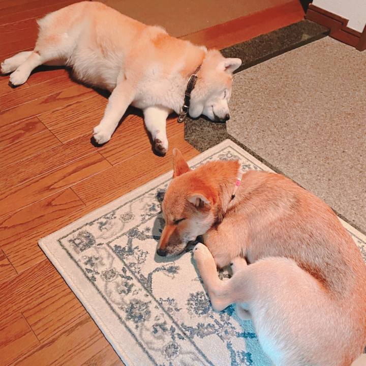 69239e51 0b3c 407b 95fd e942b6a765f5 1657542409207