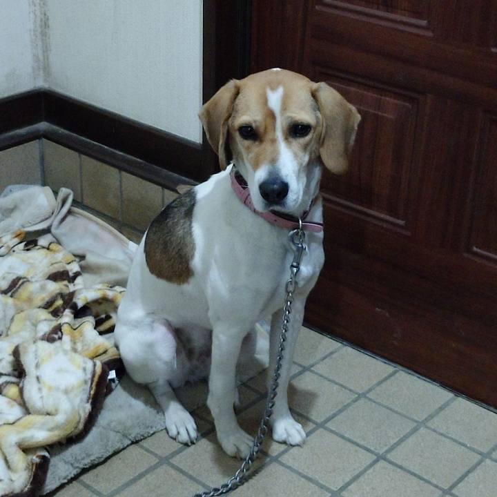 6923c527 f5b4 4a47 8103 54e7da1366d4 1578301792474