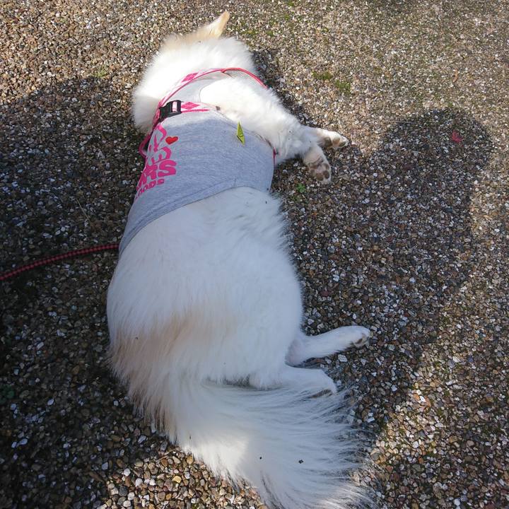 69240d9a 54c8 4abc 8621 634de56b8546 1541216559550