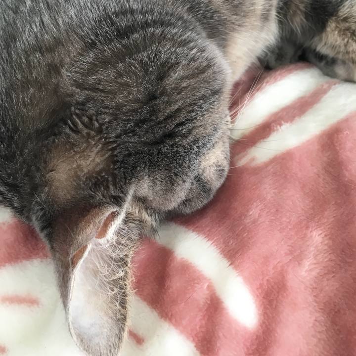 6924271f 01e5 4092 a0b7 293dfa91d573 1521268129004