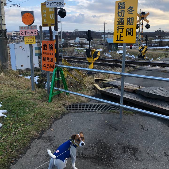 69245d55 b14c 460e a64d 161a209076e5 1545477905865