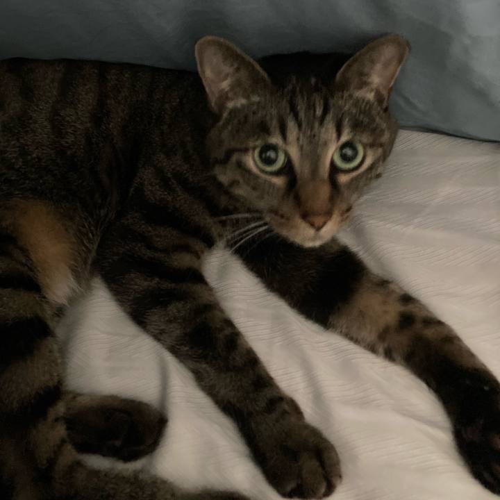 69247526 4dbc 4a74 bd10 7965c9a27587 1608647824825