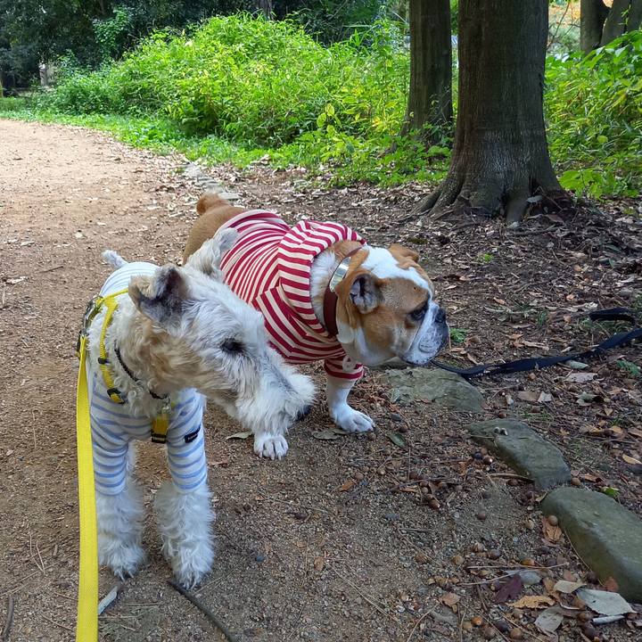 69248196 793f 4813 8d07 716ecd057ace 1635938920492