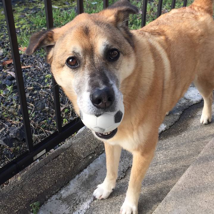 69249597 25fb 4baf aee3 476b12a9e7e0 1551790277386