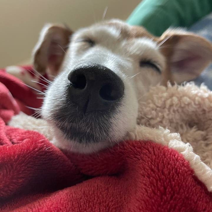 6924d4b4 88e5 49d9 968c 60f4c9b13cf7 1619150344624