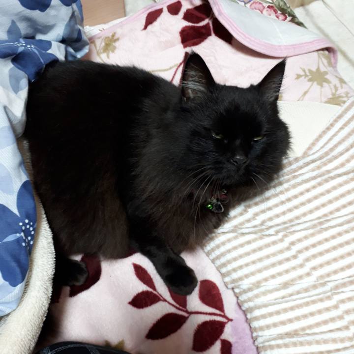 69251c91 bf1b 4f72 b03a e524c7aa3f65 1523104661746