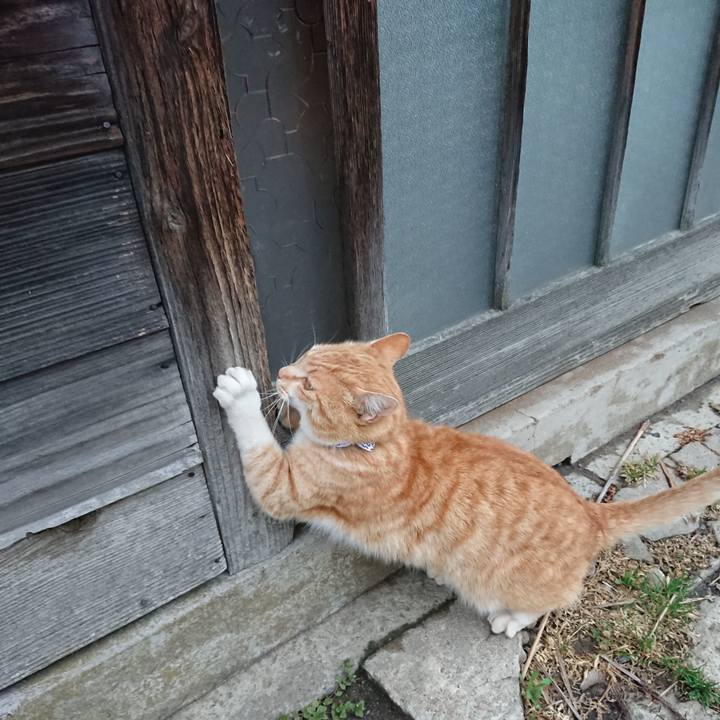 6925853b 8f4e 4027 a4d6 0c9aa696bedd 1587287100068