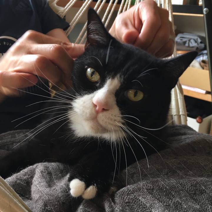 69258eda 898c 42e4 9d50 da0f256611b8 1532130070909