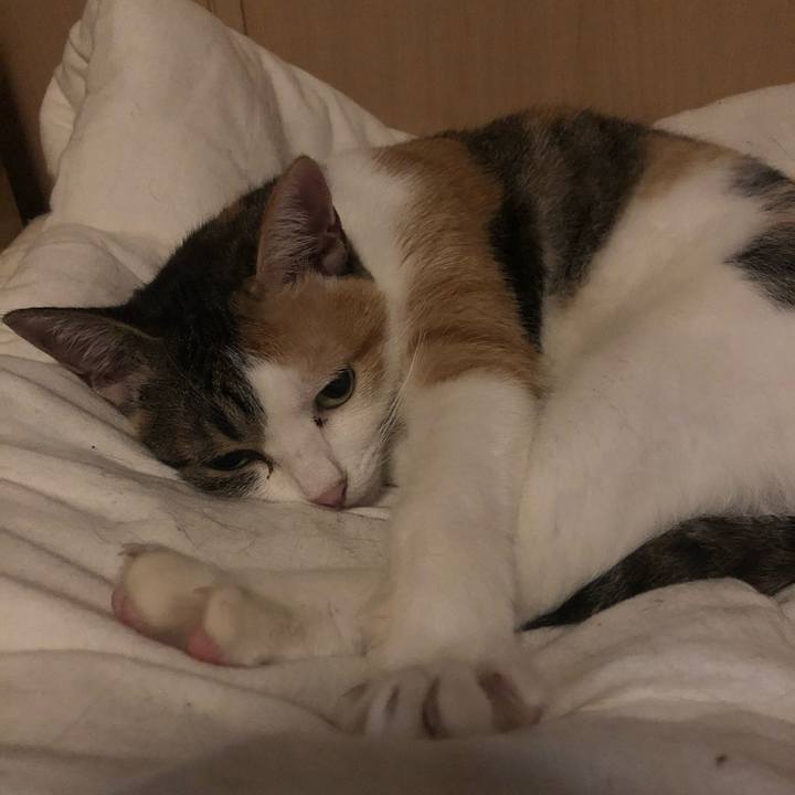 6925af0f ac64 4af9 8fda e2b80bbf5450 1600862356108