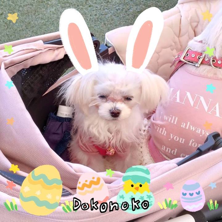 6925ca27 0dac 4611 bea1 73200d5fac7b 1712284761411