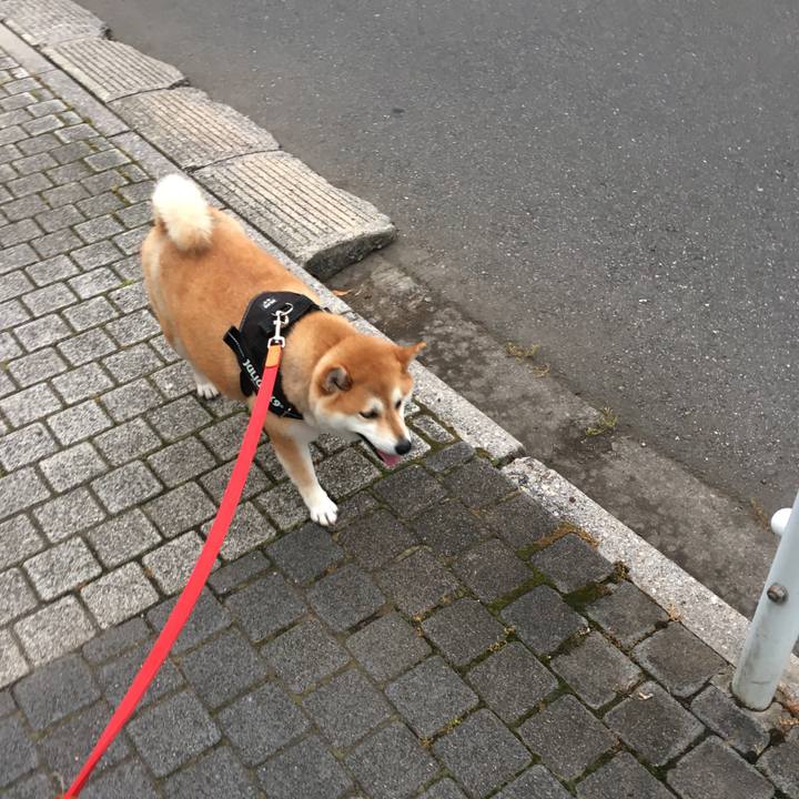 6925cd65 dcd5 4976 b385 0d7a9a6858f6 1591955762500