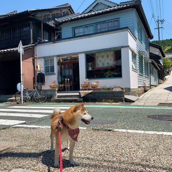 6925ce11 aae9 4d41 9978 a4269478e85e 1651998047523